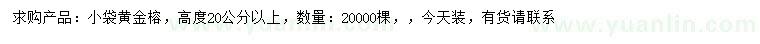 求購(gòu)高20公分以上黃金榕