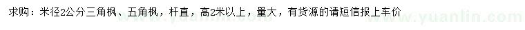 求購米徑2公分三角楓、五角楓