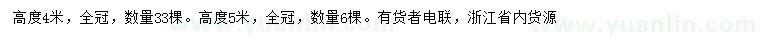 求購高4、5米胡柚樹