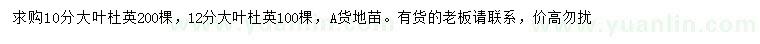 求購10、12公分大葉杜英