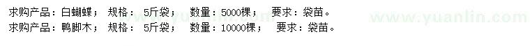 求購白蝴蝶、鴨腳木