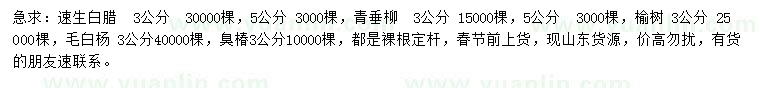 求購速生白臘、青垂柳、榆樹等