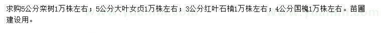 求購(gòu)欒樹、大葉女貞、紅葉石楠等