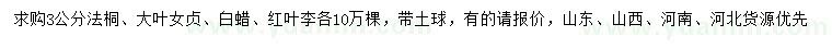 求購法桐、大葉女貞、白蠟等
