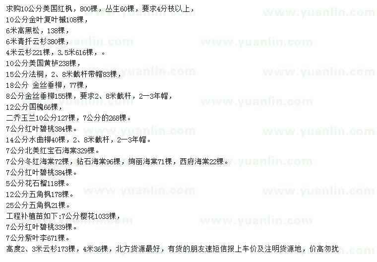 求購美國紅楓、金葉復(fù)葉槭、黑松等