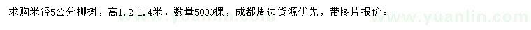 求購米徑5公分柳樹