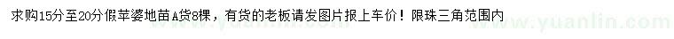 求購15-20公分假蘋婆