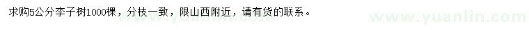 求購(gòu)5公分李子樹(shù)