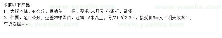 求購40公分大腹木棉、11公分仁面
