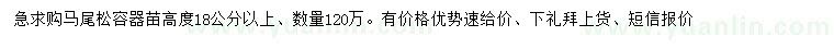 求購高18公分以上馬尾松