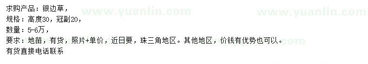 求購(gòu)高30公分銀邊草