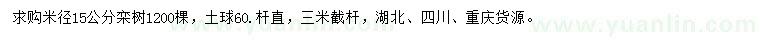 求購米徑15公分欒樹