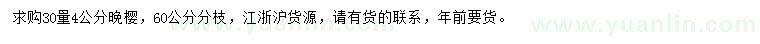 求購30量4公分晚櫻