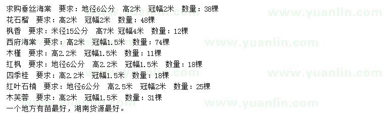求購(gòu)垂絲海棠、花石榴、楓香等