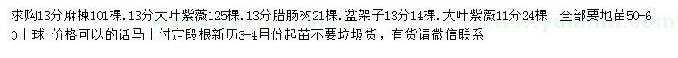 求購麻楝、大葉紫薇、臘腸樹等
