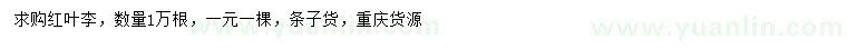 求購(gòu)紅葉李條子