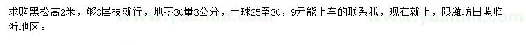 求購高2米黑松
