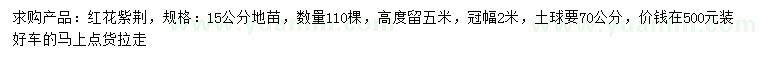 求購15公分紅花紫荊