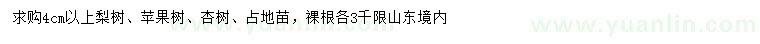 求購(gòu)梨樹、蘋果樹、杏樹等