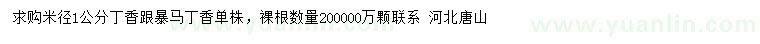 求購米徑1公分丁香、暴馬丁香