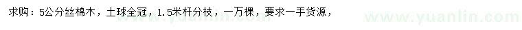 求購5公分絲棉木