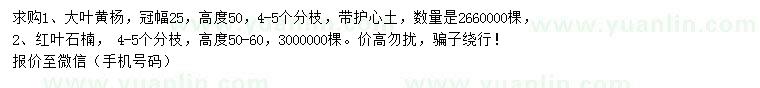 求購(gòu)高50公分大葉黃楊、高50-60公分紅葉石楠
