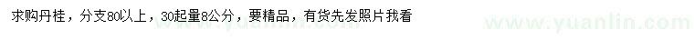 求購30量8公分丹桂