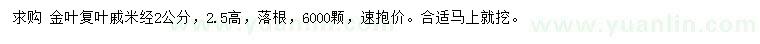 求購米徑2公分金葉復(fù)葉槭