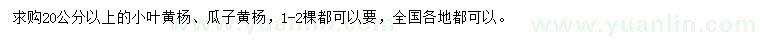 求購20公分以上小葉黃楊、瓜子黃楊