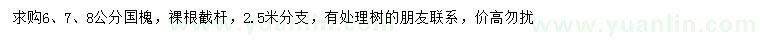 求購(gòu)6、7、8公分國(guó)槐