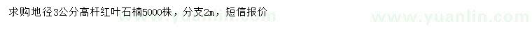 求購地徑3公分紅葉石楠