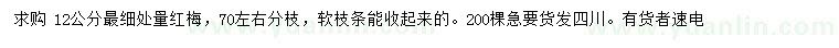 求購(gòu)12公分紅梅
