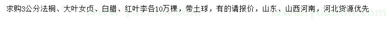 求購法桐、大葉女貞、白臘等