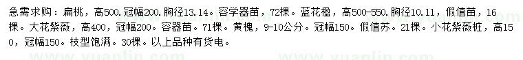 求購(gòu)扁桃、藍(lán)花楹、大花紫薇等
