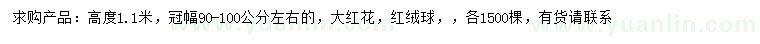 求購(gòu)高1.1米大紅花、紅絨球