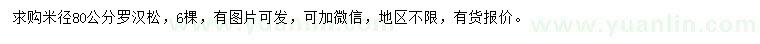 求購米徑80公分羅漢松