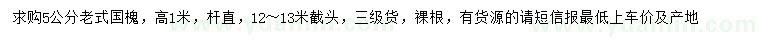 求購5公分老式國槐