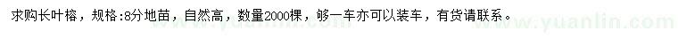 求購8公分長葉榕
