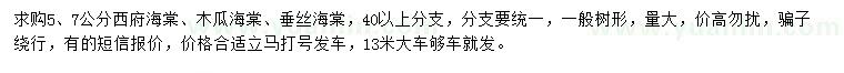 求購(gòu)西府海棠、木瓜海棠、垂絲海棠