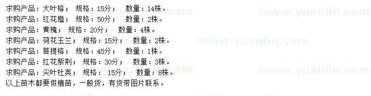 求購大葉榕、紅花楹、黃槐等