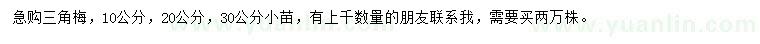 求購10、20、30公分三角梅