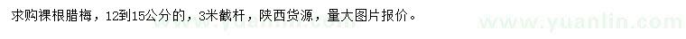 求購12-15公分臘梅
