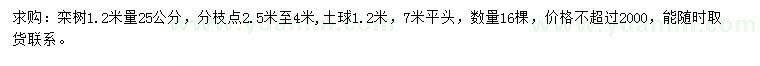 求購1.2米量25公分欒樹