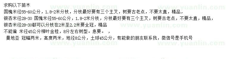 求購國槐、銀杏、柳葉金桂等