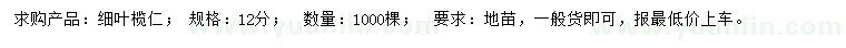 求購12公分細(xì)葉欖仁