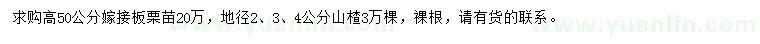 求購(gòu)高50公分嫁接板栗苗、地徑2、3、4公分山楂