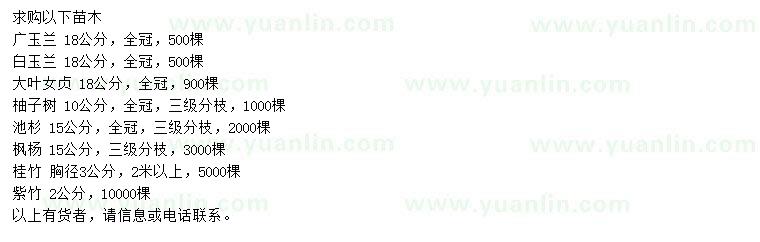求購廣玉蘭、白玉蘭、大葉女貞等