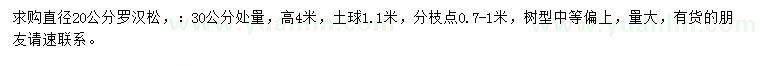 求購30公分量20公分羅漢松