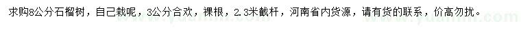 求購(gòu)8公分石榴樹(shù)、3公分合歡