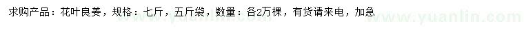 求購花葉良姜